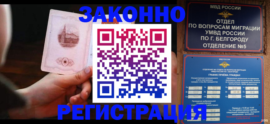 прописка 2025 в Морозовске